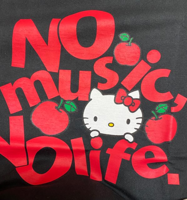 9031C382 53D9 429D B4B9 F65F4A51329C No music  No life