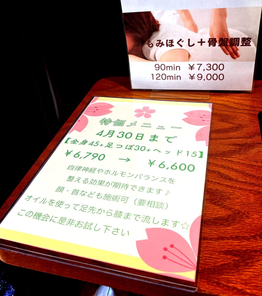 IMG 8429 メンテナンスだいじ(๓´˘`๓)