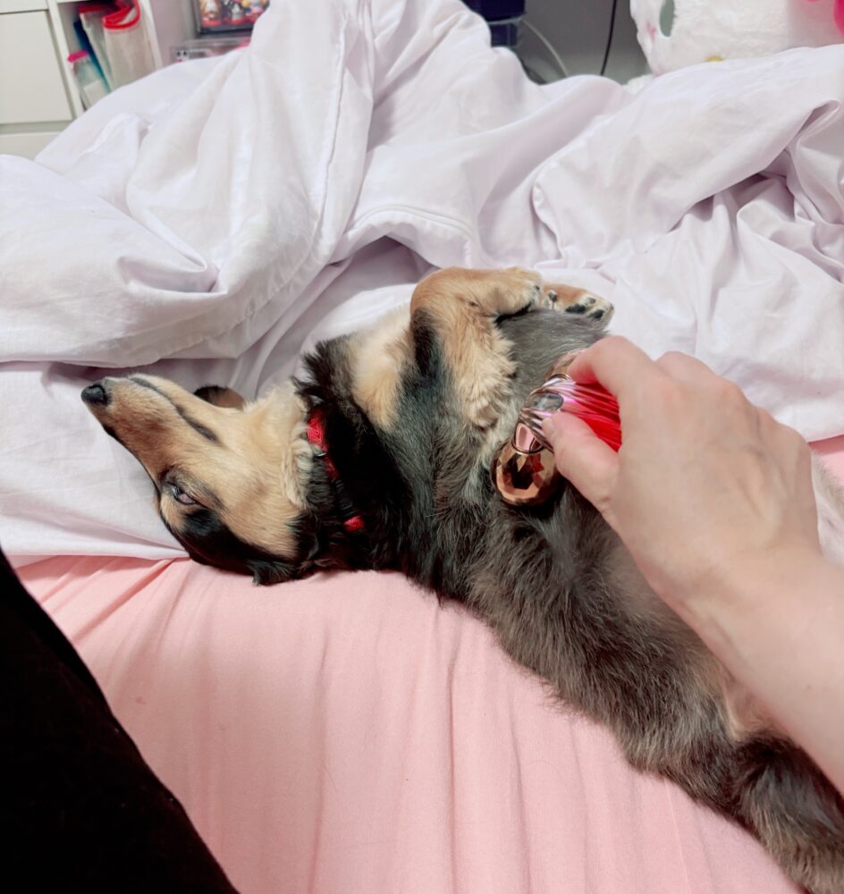 IMG 8435 メンテナンスだいじ(๓´˘`๓)