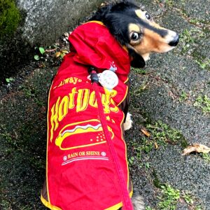 ロス感ちょっと緩和(´ー｀)