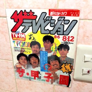 あれもこれも捨てられず( ´•ᴗ•ก)՞ ՞