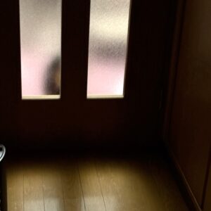 気まぐれでした(´º∀º｀)