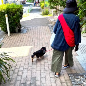 一緒にぐーたら(ᐡ-ܫ•ᐡ)🐾