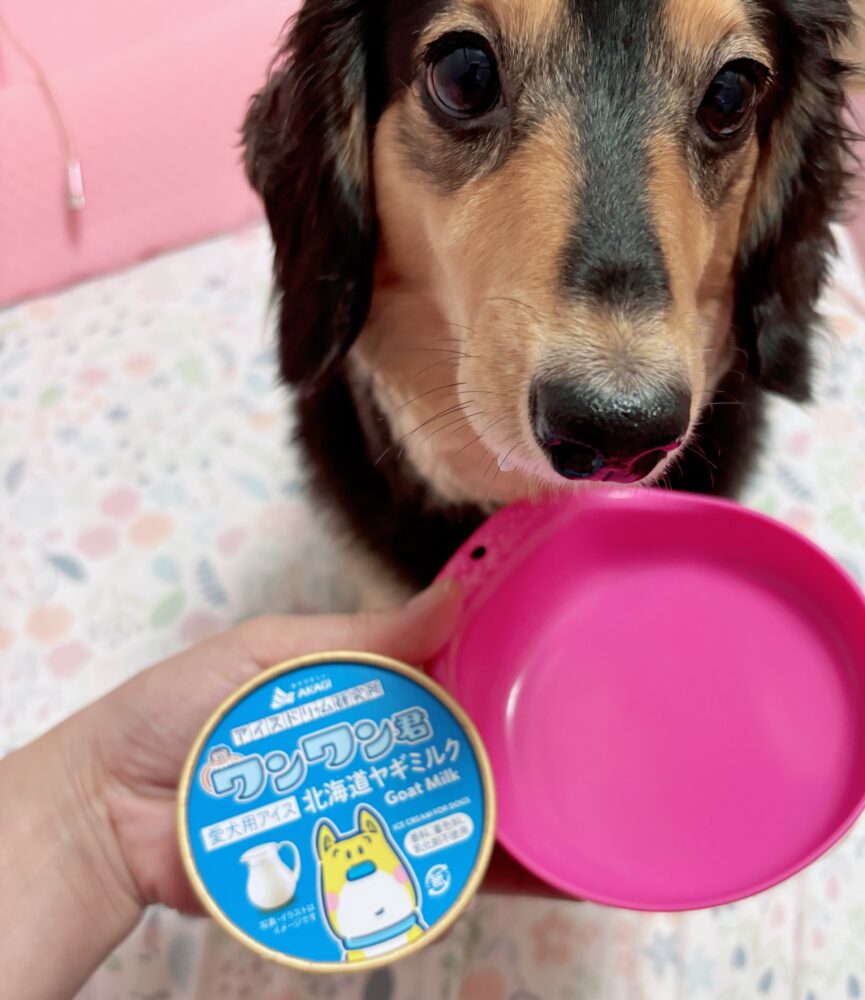 IMG 1075 過保護ですから( ˙ ³ ˙ )
