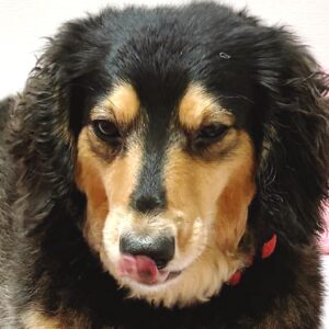 IMG 1077 過保護ですから( ˙ ³ ˙ )