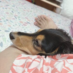 仲直り(*˘ ³(*´ㅿ｀*)ﾁｭｰｯ♡