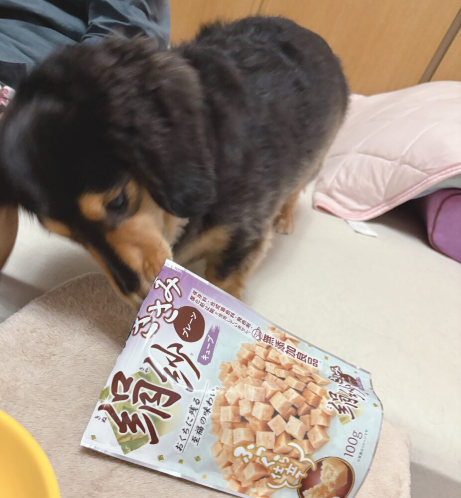 IMG 1876 品々(´∀`*人☆感謝