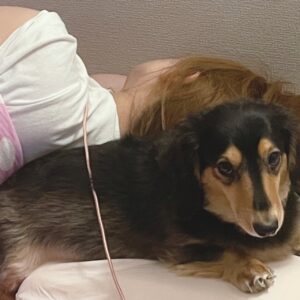 だいぶおかしい( °▽。)