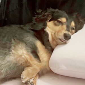 IMG 2529 直らないやつ！( σ˙꒳​˙ )σ