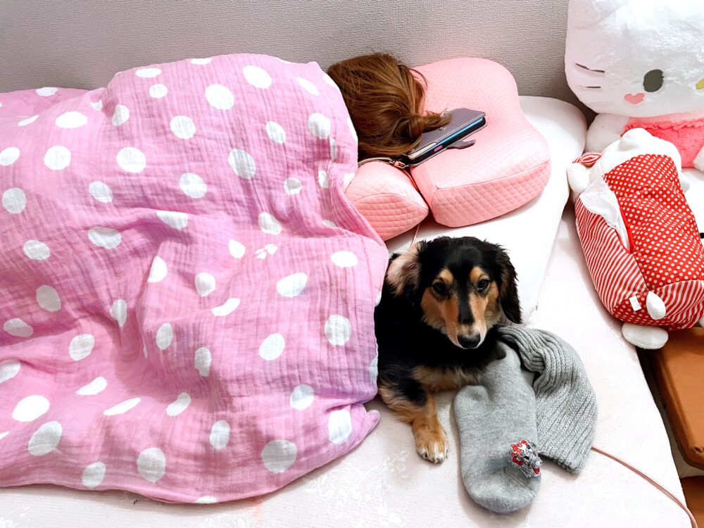 もうそろそろ・・・(。◔‸◔。)?? 1 もうそろそろ・・・(。◔‸◔。)?? IMG 2754 もうそろそろ・・・(。◔‸◔。)??