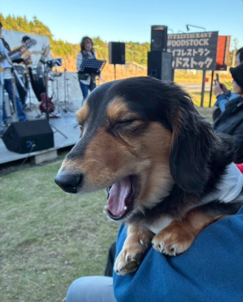 はしゃぎ疲れ(。>∀<。) 2 はしゃぎ疲れ(。>∀<。) IMG 3119 はしゃぎ疲れ(。>∀<。)