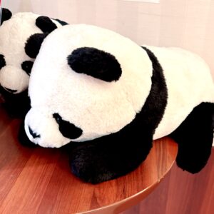 パンダめ!(ちがうw)