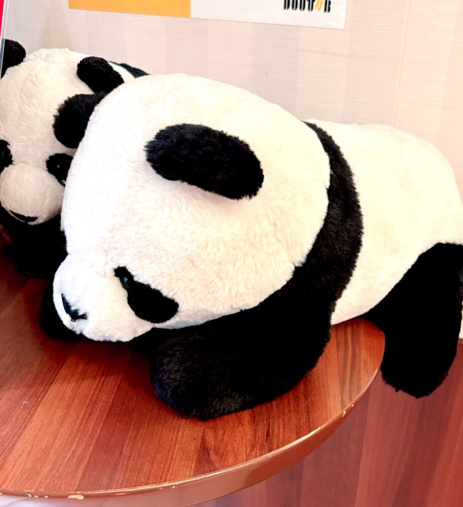 パンダめ!(ちがうw) 1 パンダめ!(ちがうw) IMG 3159 パンダめ!(ちがうw)