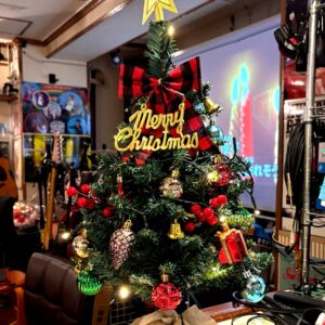 ちょいちょいクリスマス❅*⋆⍋*⋆