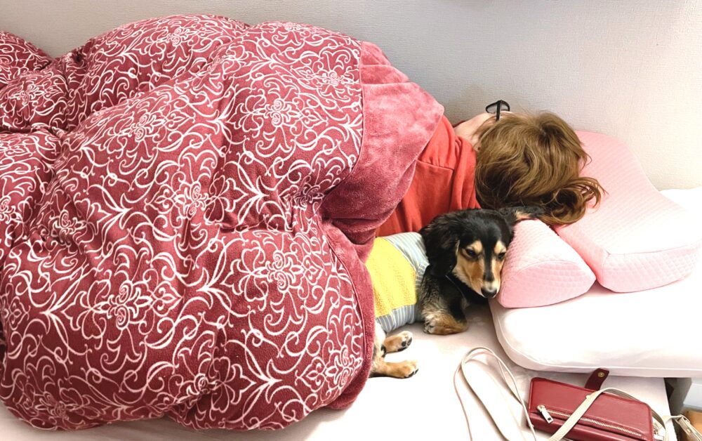 IMG 4152 俺の枕 UʘᴥʘU