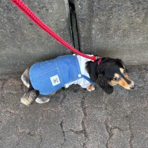 (´∀｀*ﾉﾉ Happy New Year☆*.゜