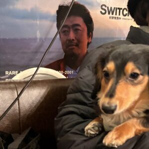 IMG 4385 再びの駒込(¯∇¯٥)