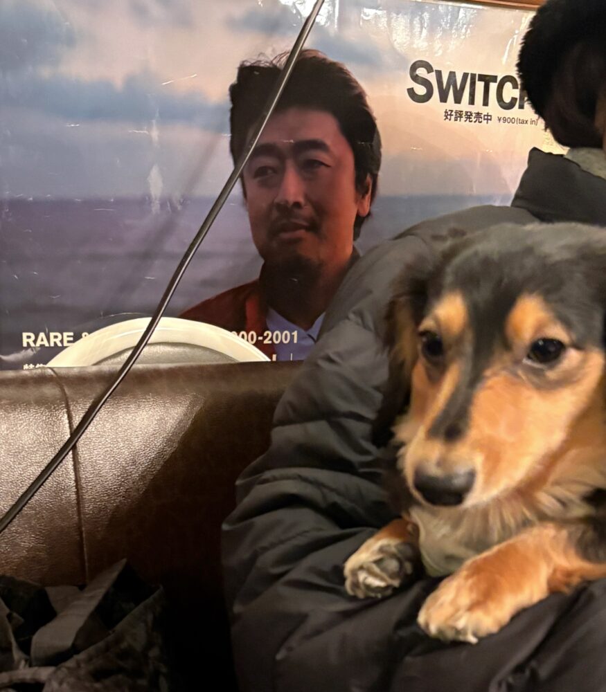 再びの駒込(¯∇¯٥) 1 再びの駒込(¯∇¯٥) IMG 4385 再びの駒込(¯∇¯٥)