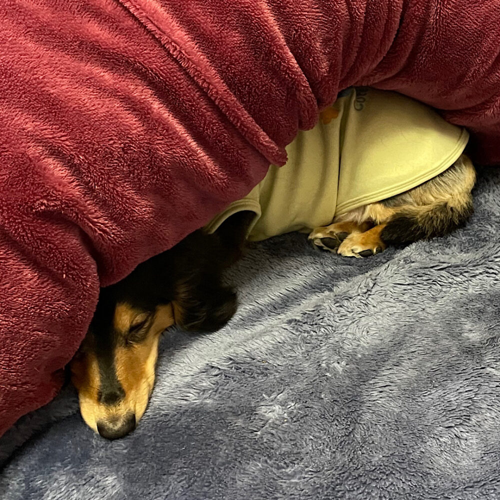 IMG 4419 事情を詳しく(´◦艸◦｀)