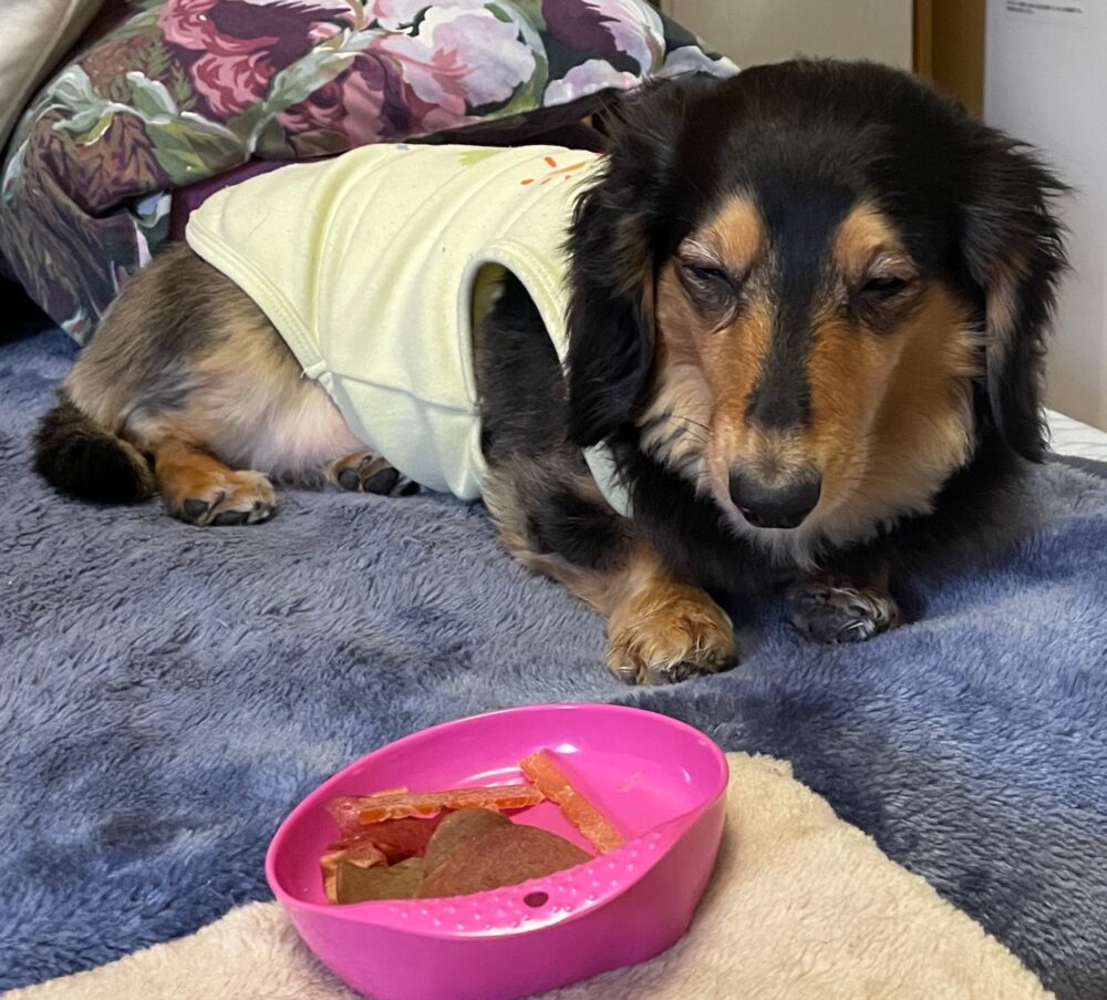 IMG 4600 ちょっとだけよ(*ฅ́˘ฅ̀*)