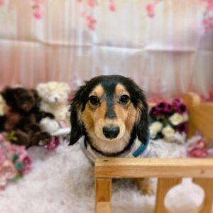 いつもと違う第3日曜日( ´￢`)