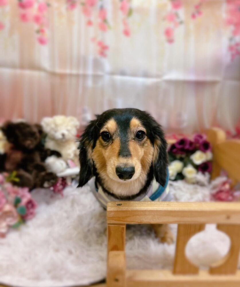 IMG 4713 いつもと違う第3日曜日( ´￢`)