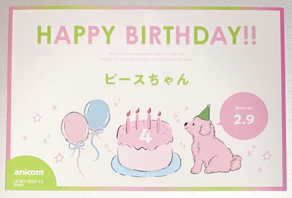 IMG 5282 息子、4歳にU^ェ^U