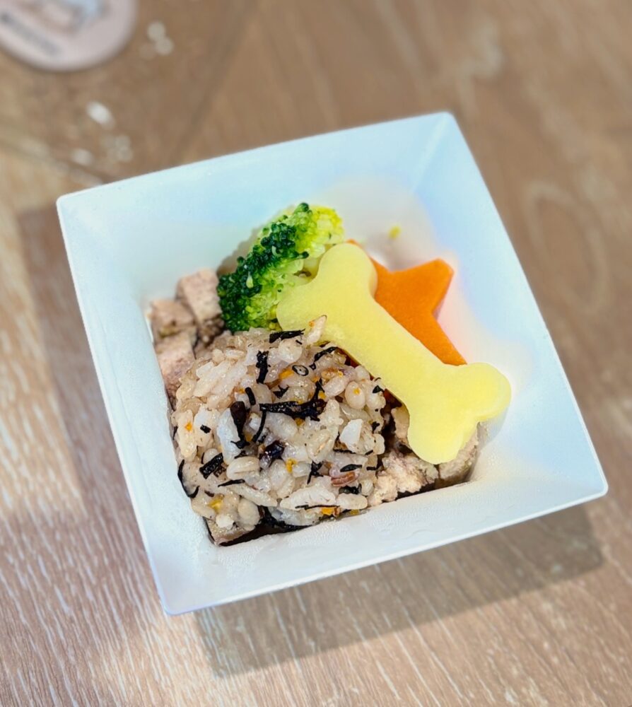 IMG 5371 息子、4歳にU^ェ^U