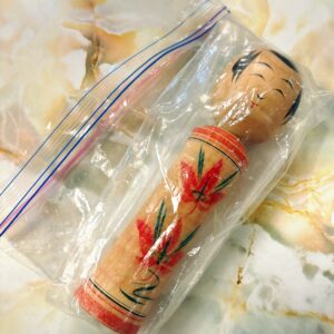 置き去りの『武男』