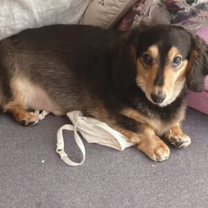 あれもこれも とほほ(´ﾛ`ill)