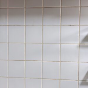 白への憧れ(　‾᷄꒫‾᷅　)