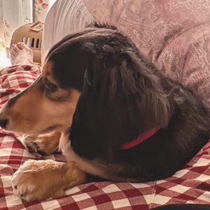 我が子の温もり(๑♡⌓♡๑)