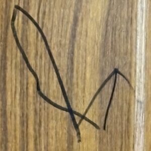 壁あるある( ᐛ )σ