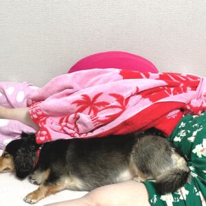 おはずかし(艸дﾟ*)